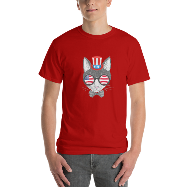 Gray Cat With Hat & Sunnies Men's Tee