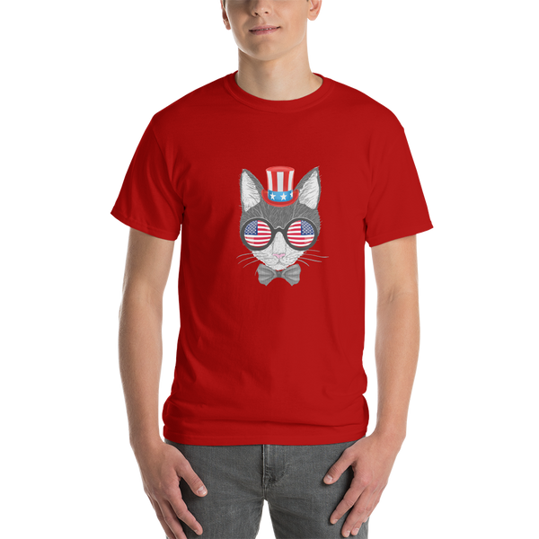 Gray Cat With Hat & Double Sunnies Men's Tee
